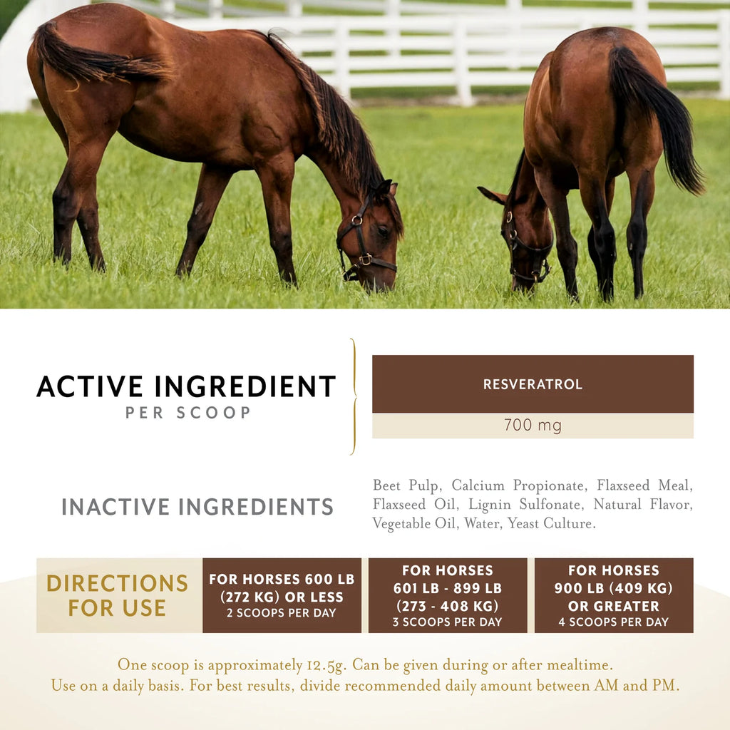 Metaborol™ Powder or Pellets by Equithrive® - Cox Ranch Supply