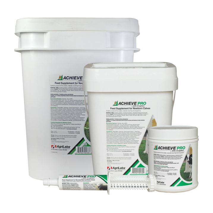 Achieve® Pro with Cryptex™ Prebiotics and Probiotics for Cattle - Cox Ranch Supply