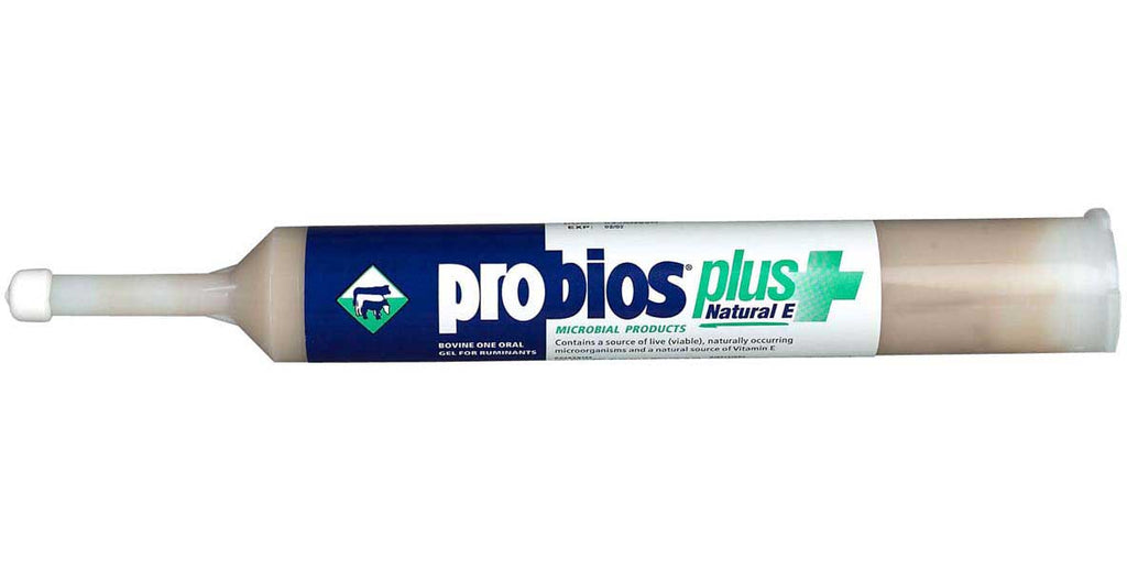 Probios® Plus Vitamin E Bovine/Ruminant Oral Gel 300gm + Dosing Gun - Cox Ranch Supply