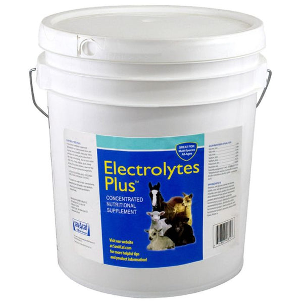 5 Pound Horse Supplement UltraCruz Electrolyte Supplement For Horses