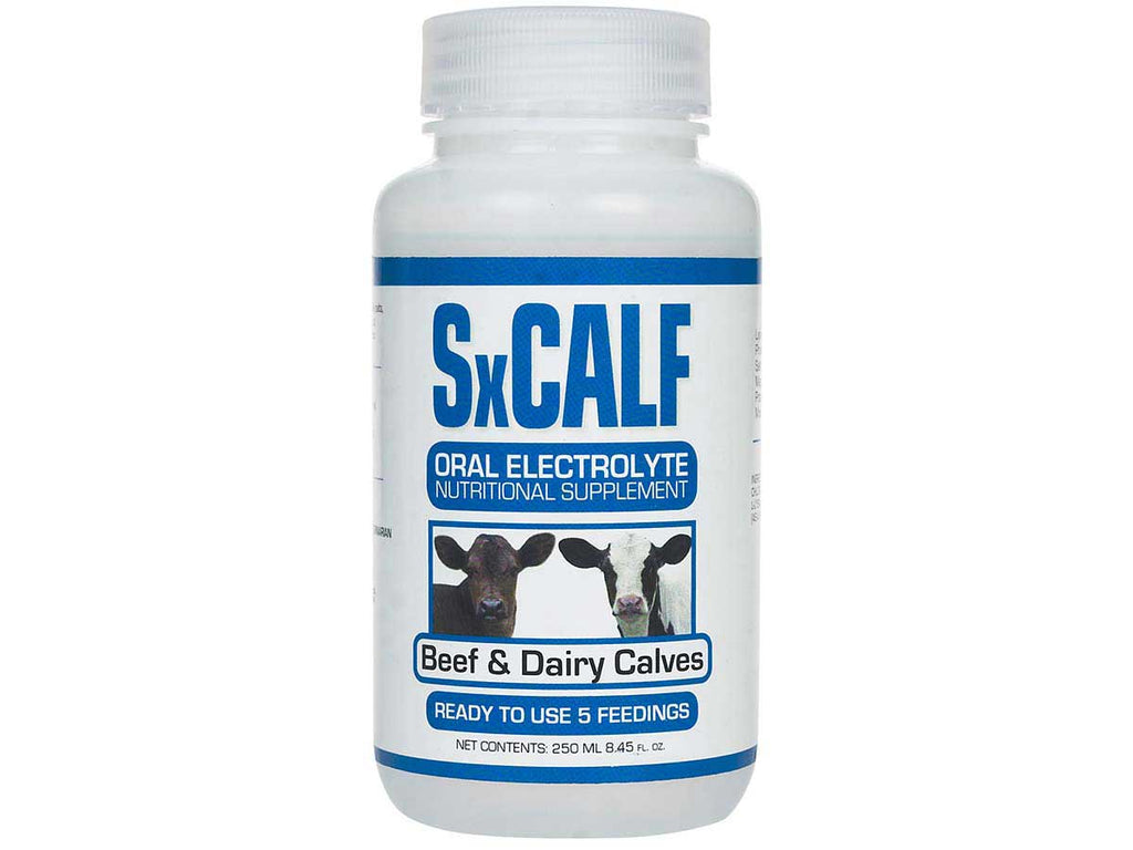SxCalf® Liquid Oral Electrolyte and Nutritional Supplement for Beef or Dairy Calves - Cox Ranch Supply